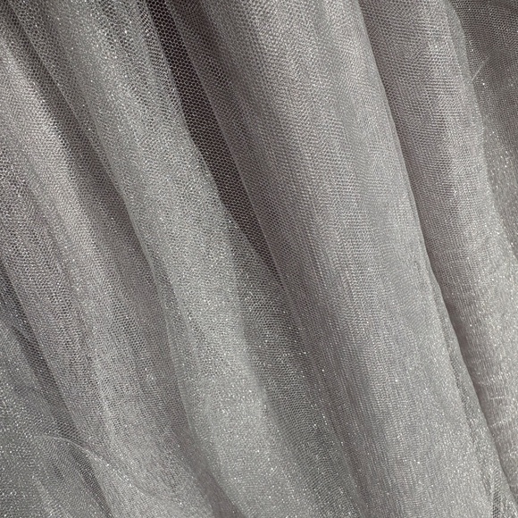 Tulle Skirt - Picture 2 of 3